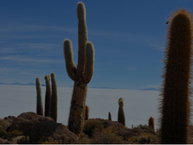 Solar de Uyuni