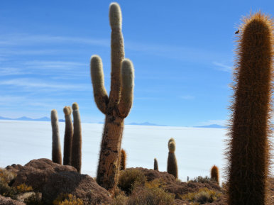 Solar de Uyuni