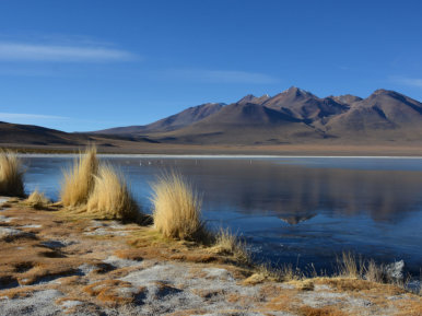 Blaue Lagune in Bolivien